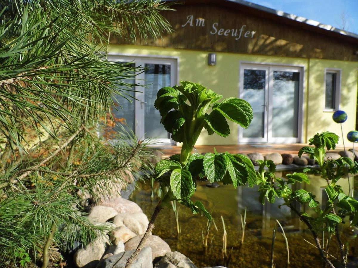 Ferienwohnung Seerose Neppermin Exteriör bild